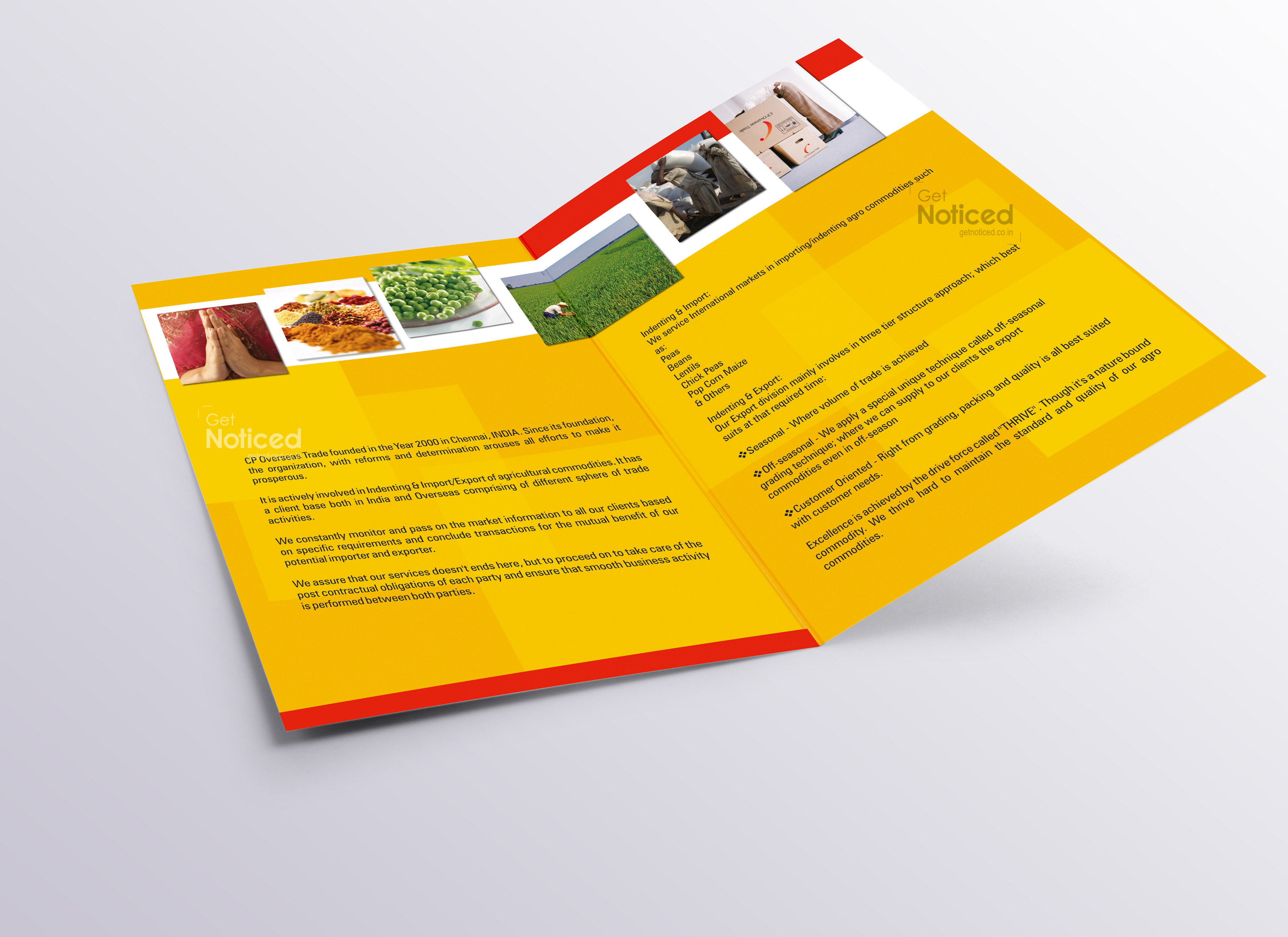 Cp Overseas Trade Corporate Brochure Design
