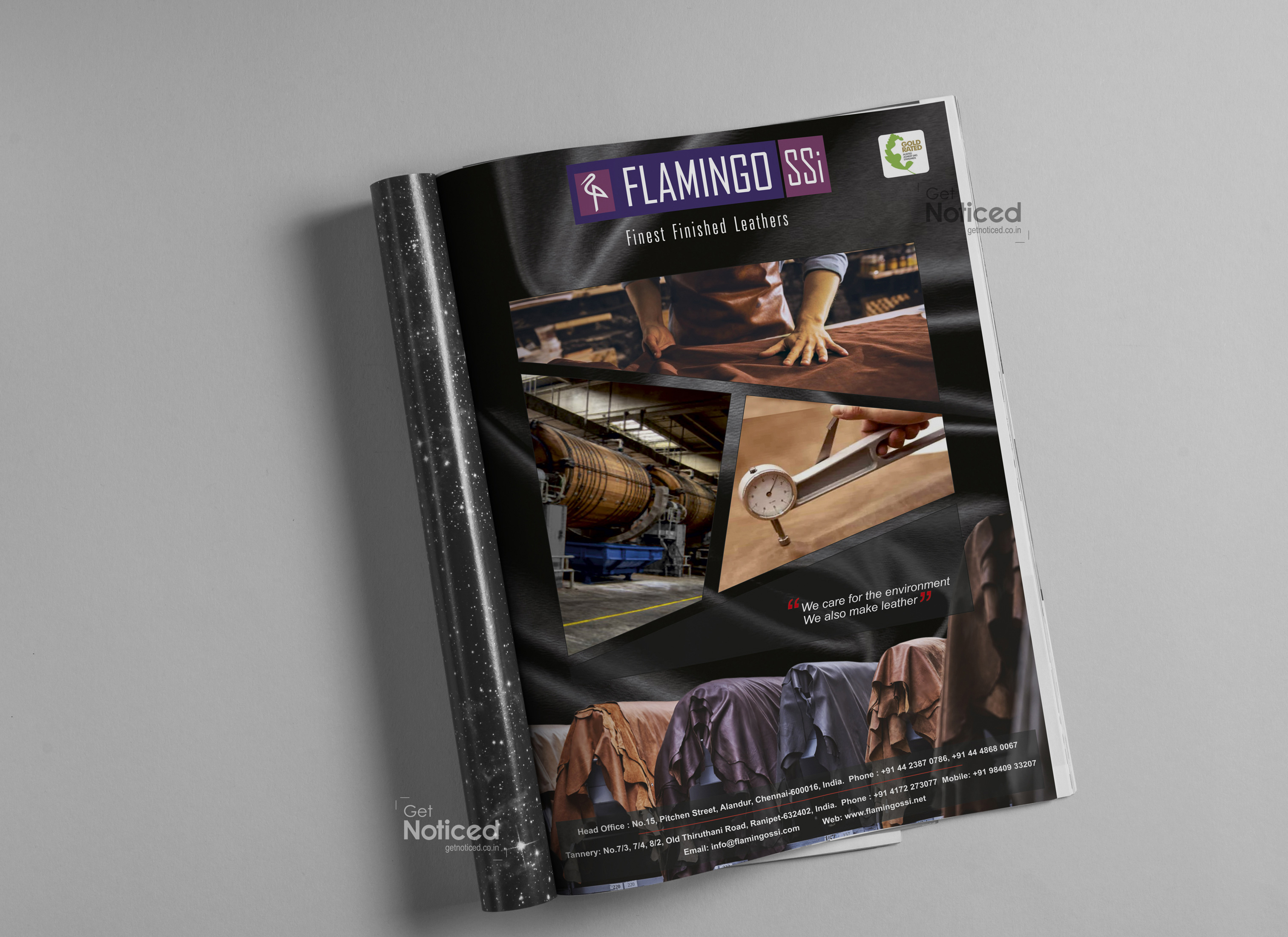 Flamingo Magazine Ad Design