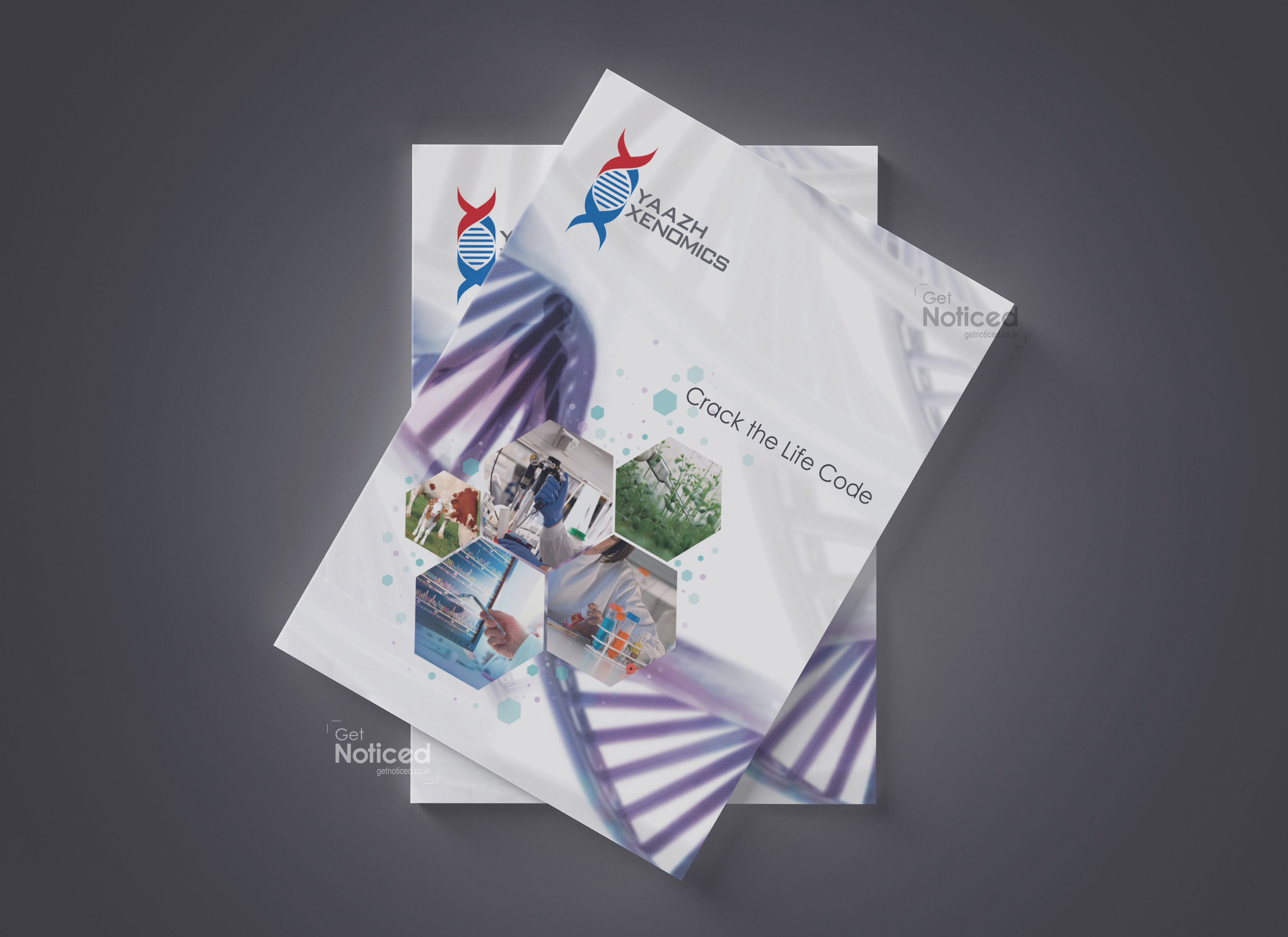 Yaazh Corporate Brochure Design