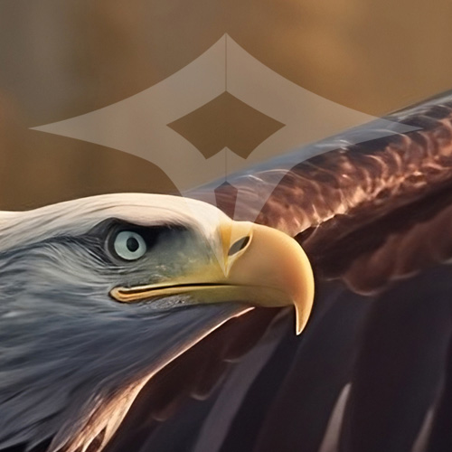 Falcon Leathers Logo Design