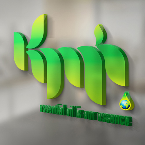 Kmk International Logo Design