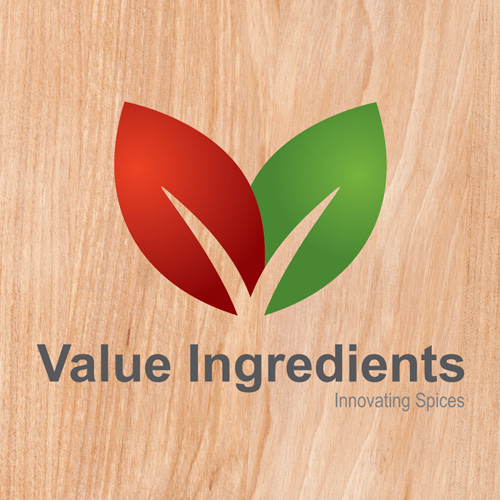 Value Ingredients Logo Design